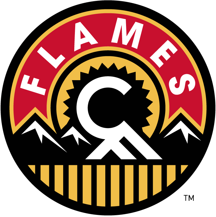 Calgary Flames 2013-2016 Alternate Logo fabric transfer